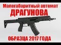 Воскресший автомат Драгунова! АМ-17 и АМБ-17.