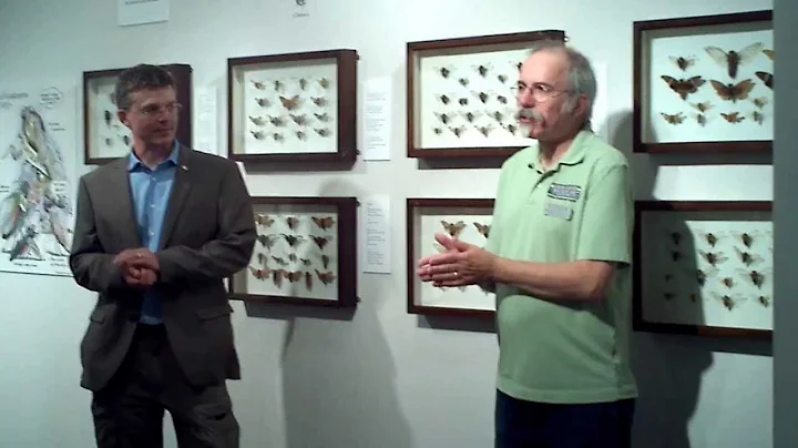 John Cooley & Ed Johnson on Periodical Cicadas  Ma...