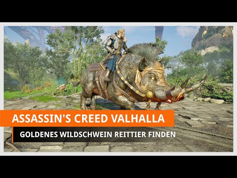 Assassin's Creed: Valhalla: Guide - Die Zeichen Ragnaröks - Reittier Gullinbursti finden (Goldener Eber)