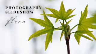 Flora & Flowers Photography Slideshow | Summer 2023 - Spring 2024