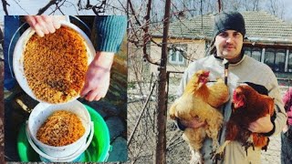 WITH THIS FOOD, CHICKENS WILL LAY EGGS NON-STOP, REGARDLESS OF THE SEASON! YEAST FOR CHICKENS