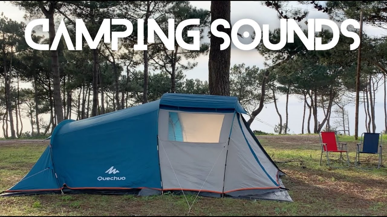 CAMPING SOUNDS *** RELAX IN NATURE *** SUNSET AT SEA #campinglife #camping #asmr