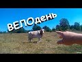 Велопокатушки вдоль реки Ворскла на CUBE ANALOG. Полтава