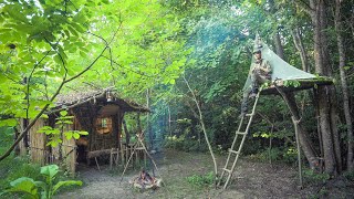 Bushcraft Tree Shelter - Building a Tree Platform next to my Long Term Shelter - Wild Boars Images