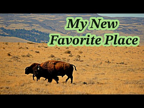 Soapstone Prarie Is My New Favorite Spot