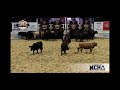 2024 NCHA Super Stakes Cutting Horse Competition Playful Meteles Cat