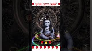 🙏har har #cute shiva #shortvideo #shortvideomahadev #oshoteaching