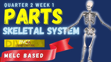 PARTS OF THE SKELETAL SYSTEM || Q2 WK1 #partsoftheskeletalsystem #Science6module1quarter2week1