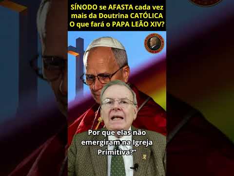 SÍNODO se AFASTA cada vez mais da Doutrina CATÓLICA - O que fará o PAPA LEÃO XIV? - Direto de Roma