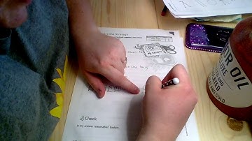 Guess, Check, Revise Math