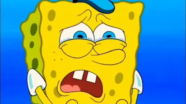 Spongebob is an idiot boy