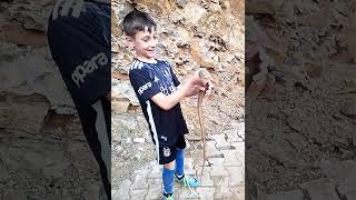 Cesur Oğlum Zararsız Bir Kertenkele