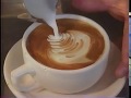 Coffee Documentary