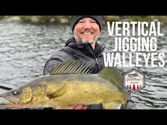 Vertical Jigging Walleyes 