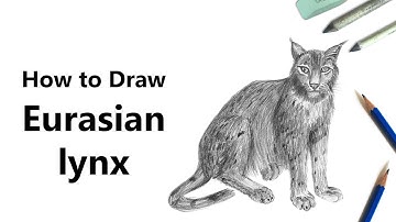How to Draw a Eurasian Lynx with Pencils [Time Lapse]