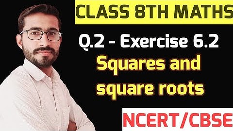 Q.- 2 - Exercise 6.2 | Class 8th Maths | Squares and square roots |