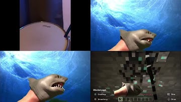 up to faster 4 parison to shark puppet