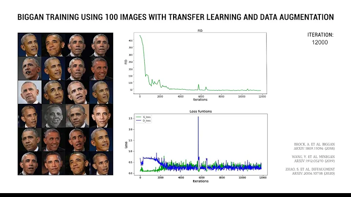BigGAN training using 100 images with Transfer Learning and Data Augmentation