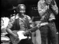 Muddy Waters - She&#39;s Nineteen Years Old - ChicagoFest 1981