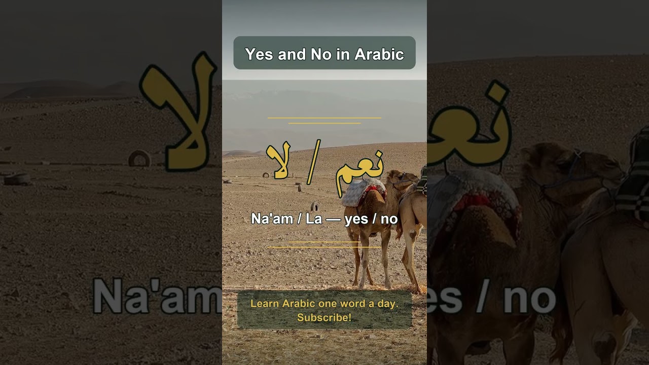 Yes and No in Arabic | Arabic: نَعَمْ / لَا (Na'am / La) #shorts