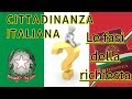 Cittadinanza Italiana; Le fasi della richiesta