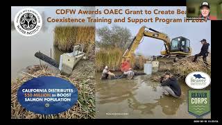 Lessons Learned and Replicable Strategies for Coexisting with and Bringing Back Beaver in California