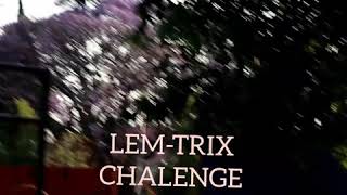 Bend It Maleek Berry