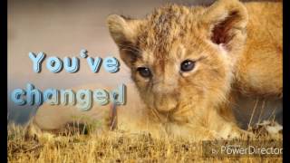 Sia - You've changed (lyric)