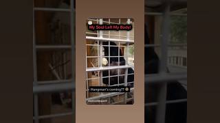 @deptsoftdespair01 - bird says the hangman’s coming