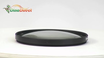 72mm Macro Close-Up +1 Lens Filter for Digital Camera  from Dinodirect.com