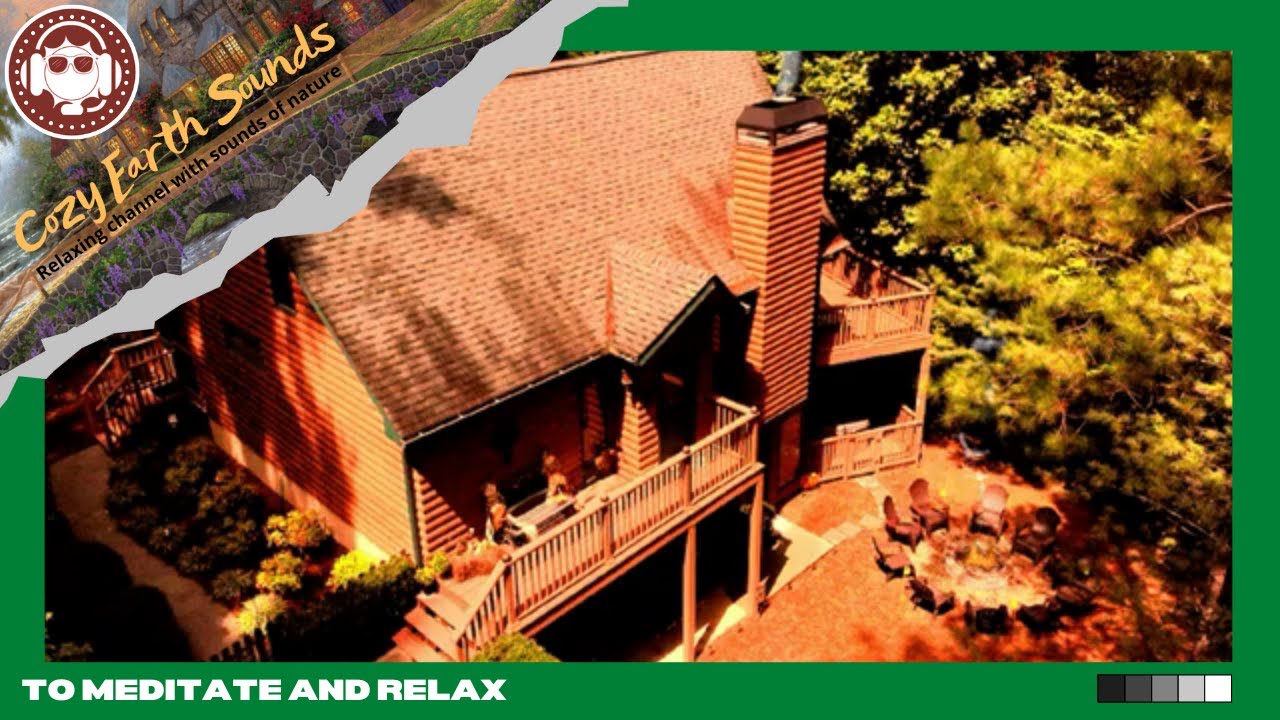 🏞️Cozy cabin in the woods with pleasant ambient sounds to relax and