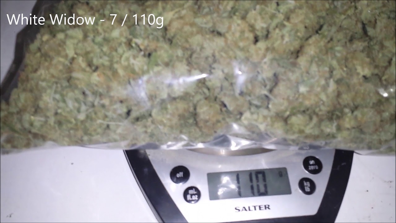 White Widow Autoflower and Peyote Critical Harvest Weights