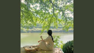 Tranquil Reflections Serenade