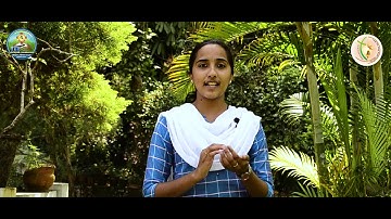 Sunday Catechism | Standard 2 | Chapter 12 | Part 2 | Ms. Shaly Shaji, Nellippara