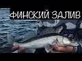 Рыбалка на Финском Заливе. Ловля Судака на Джиг. Осень 2019