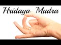 Yoga mudra  mudra du coeur  avec ariane