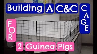 Building a C&C cage for 2 Guinea Pigs