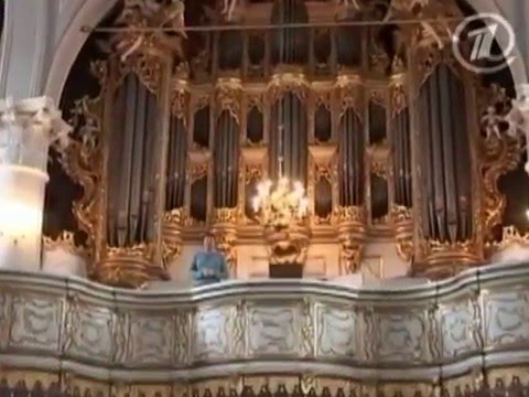 Видео: Кой е изобретил органа