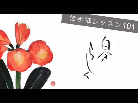 Lesson101_君子蘭(Kaffir Lily) - YouTube