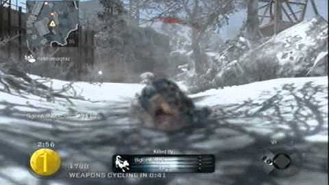 A V E L Z | CoD: Black Ops SharpShooter On Array