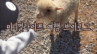 [VLOG]아이랑 고창 여행, 미니멀라이프, 랜선 집 살림, 육아맘 루틴, 힐링 카운티, 상하농장 파머스 빌리지, 고창 맛집