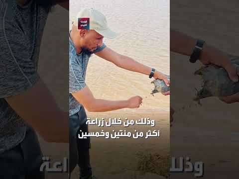 حملة غرس الأشجار في غات