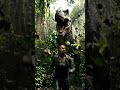 POV: You met a T-Rex 😨🦖