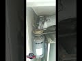 Commercial HVAC | Lack of maintenance caused coil to freeze #dallas #hvac #hvacmaintenance #dfwhvac