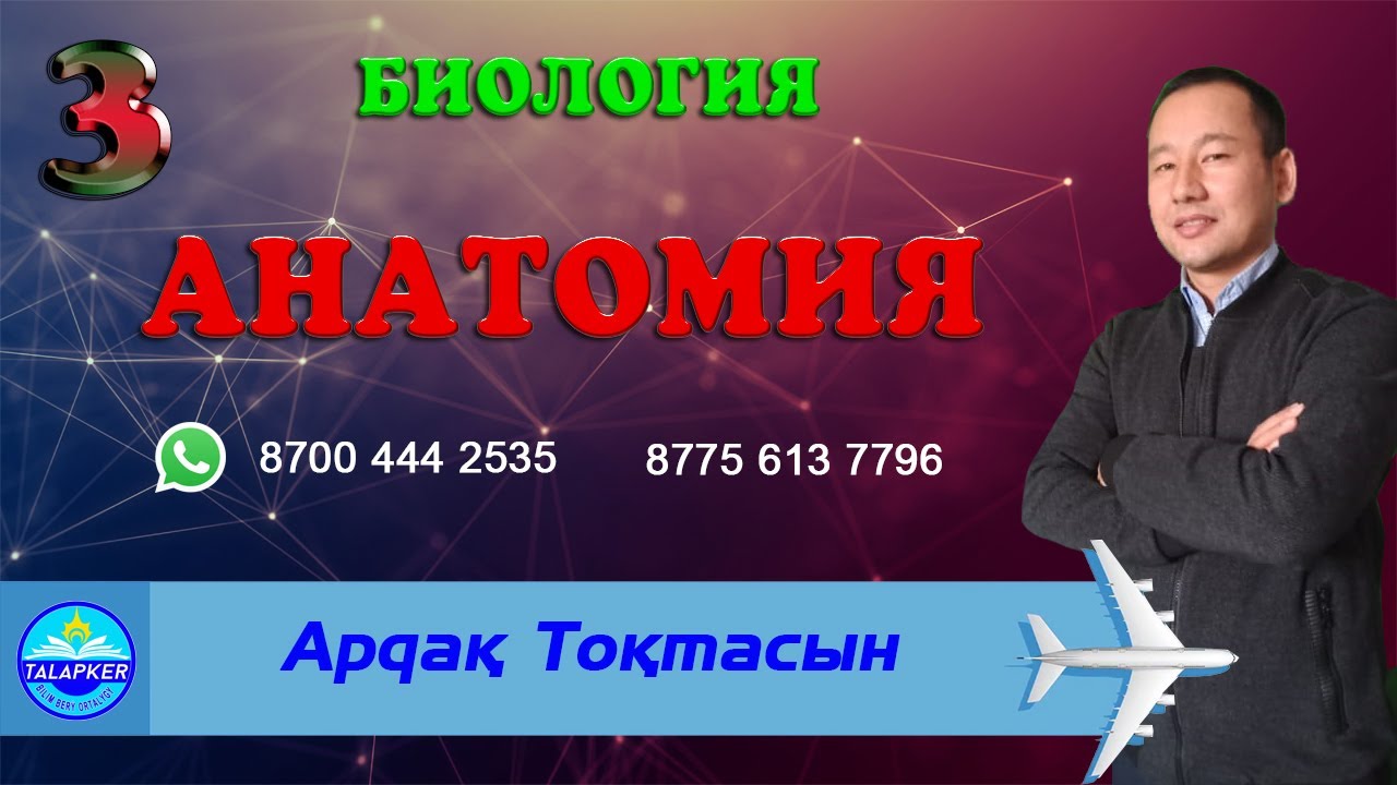 Анатомия авто лабытнанги