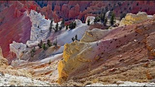 Cedar Breaks National Monument, Utah. A View From The Rim