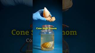 Cone Snail Venom#animal #ytshorts #animallife #shortsvideo
