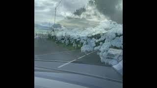 Driving in the Azores (Sao Miguel- Ponta Delgada, Sete Cidades, Nordeste) June 2021 Vacation