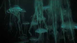 Bioshock 2 Launch Trailer
