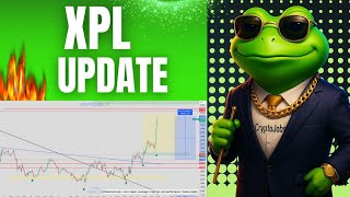 XPL UPDATE | XPL COIN ANALYSIS| XPL ANALYSIS